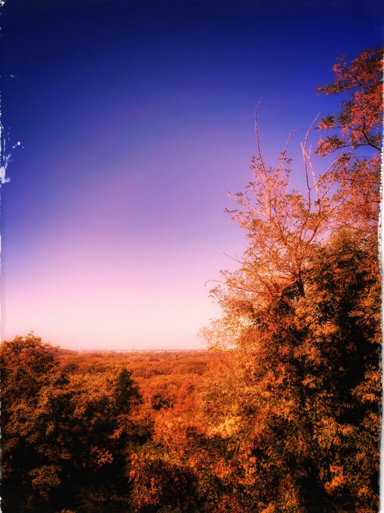 A view from Leipzig's Fockeberg over the woodland to the west. The white balance has been tweaked to make the picture's colours very warm, reflecting the searing heat of the day.