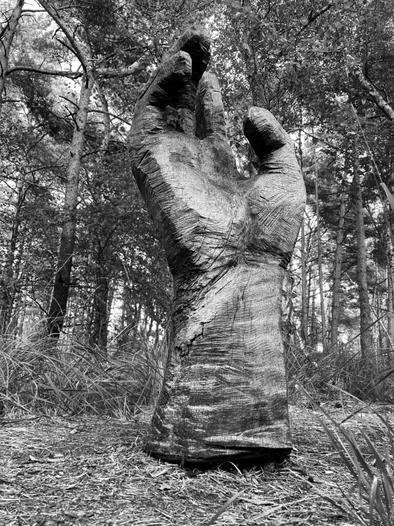 A carved hand sculpture reaching for the sky from the soil of a moor.
Carved by Romy Schurmeyer