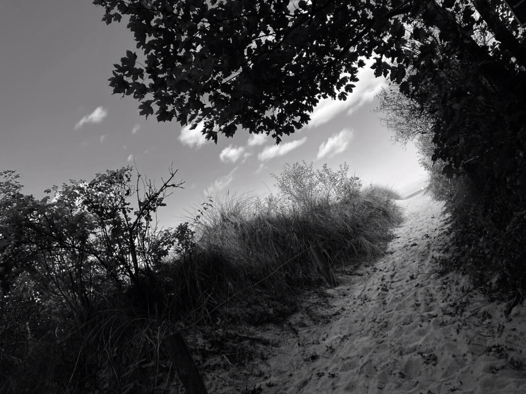 A black and white photo of a sandy path leading off to the beach. To the left of the path is a grassy dune, to the right, some trees. The horizon is not level, giving the impression the sand, dune, sky, and woods are swirling.