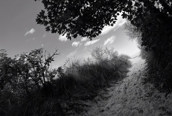 A black and white photo of a sandy path leading off to the beach. To the left of the path is a grassy dune, to the right, some trees. The horizon is not level, giving the impression the sand, dune, sky, and woods are swirling.