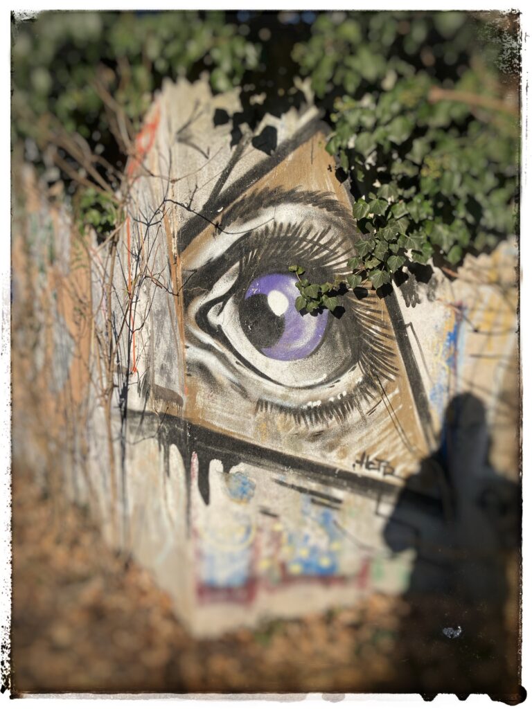 Photo of a graffito of an eye in a triangle painted onto the corner of a wall. Ivy grows down into it.
