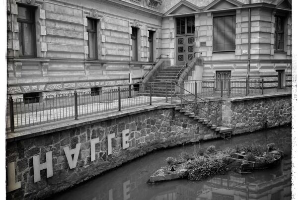 Photo showing a stretch of the Pleiße mill stream in Leipzig. The far bank has steps leading down to the water. Two large 19th century buildings fill the background. In the foreground, in the stream, is a little island for ducks and grebes.